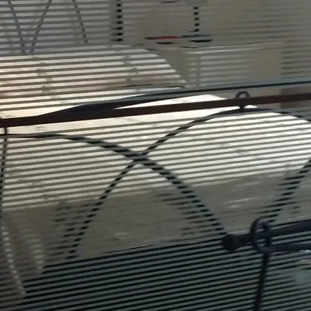 Lulu * Marina di Schiavonea